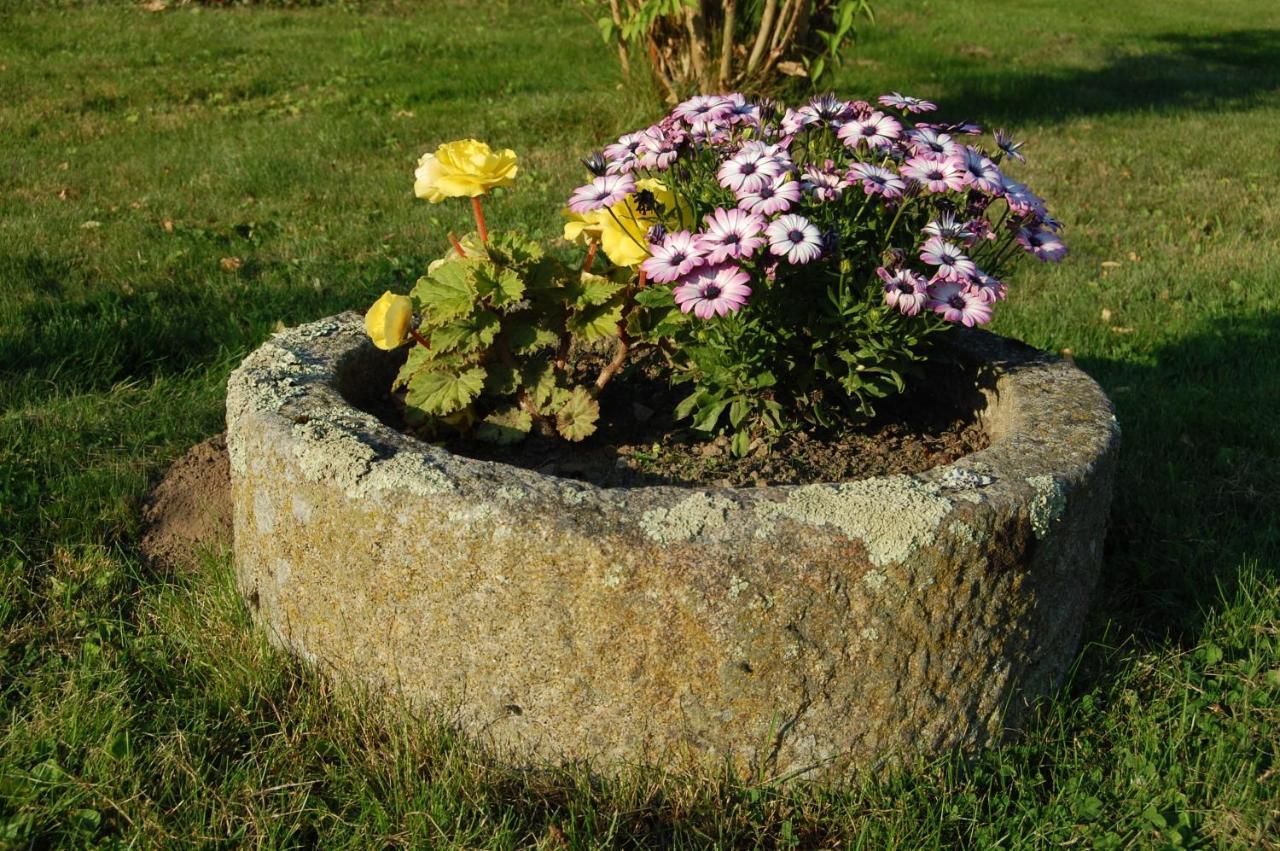 Le Pont St Michel Bed and Breakfast Maen Roch Exterior foto