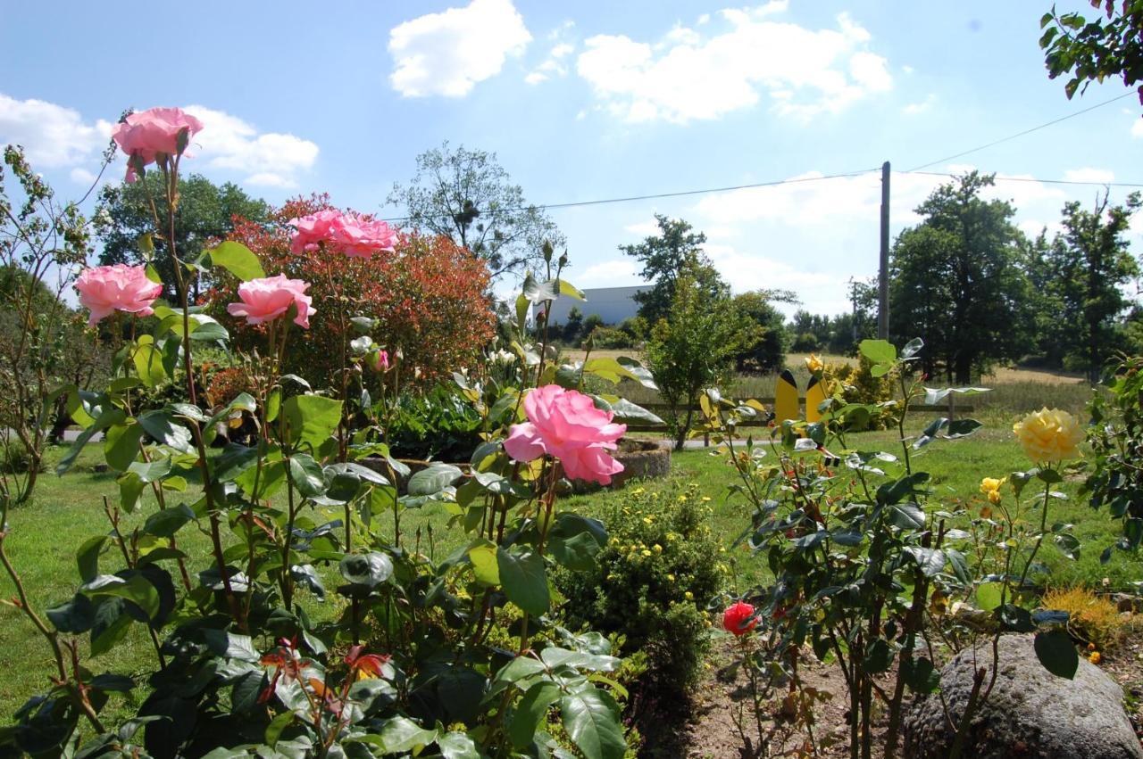 Le Pont St Michel Bed and Breakfast Maen Roch Exterior foto